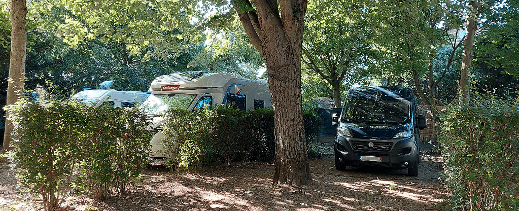 Roberto au Bois de Boulogne