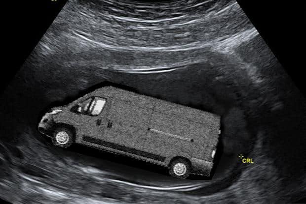La gestation de Roberto