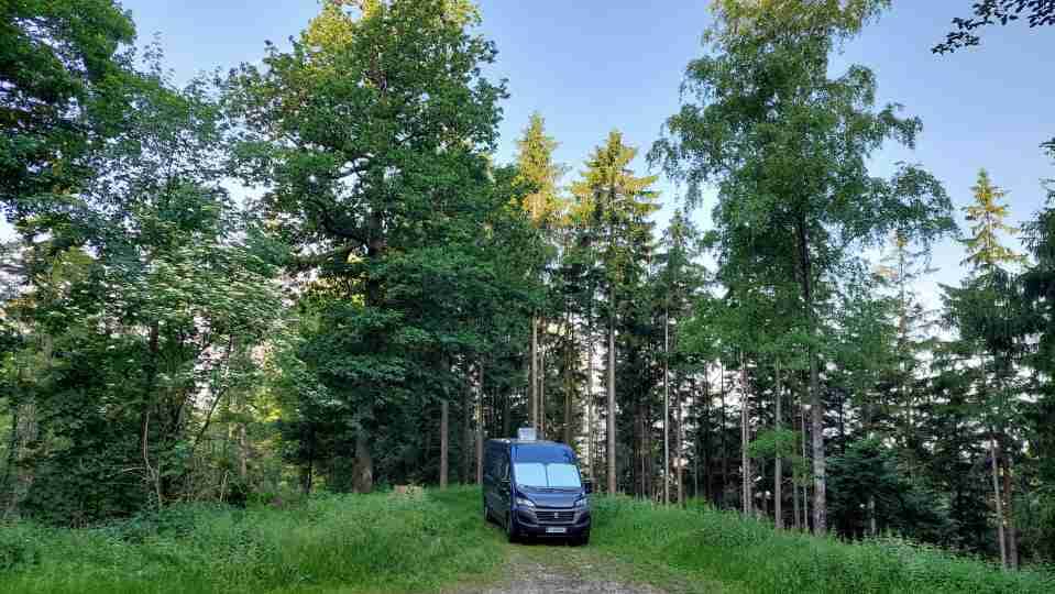 D'Allemagne
Roberto au vert dans la Forêt Noire, un spot nocturne très tranquille